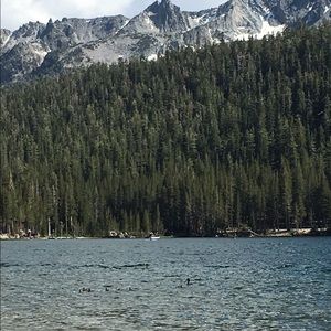 Meet your Posher, Payton